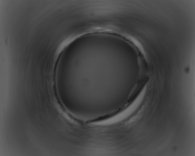 X0000091501373200708301948