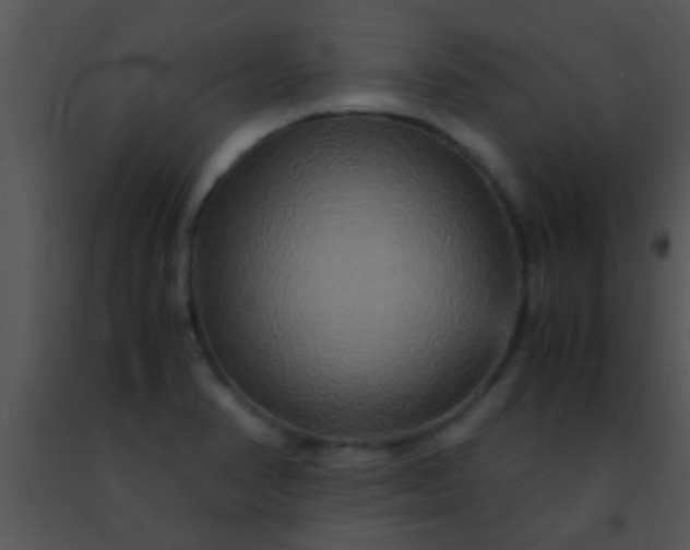 X0000091501374200708301948