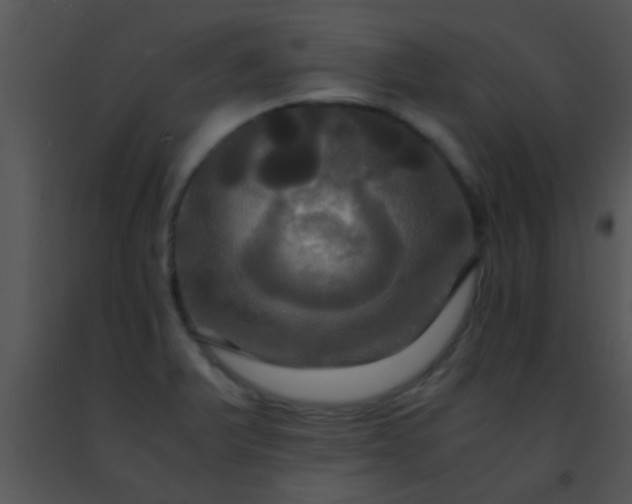 X0000091501375200708301948