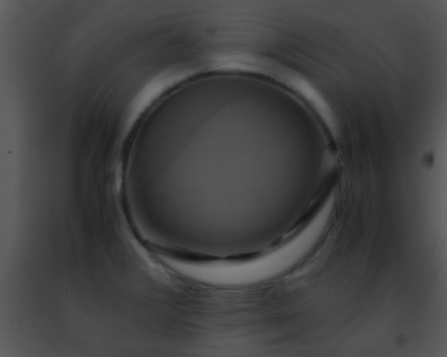 X0000091501376200708301948