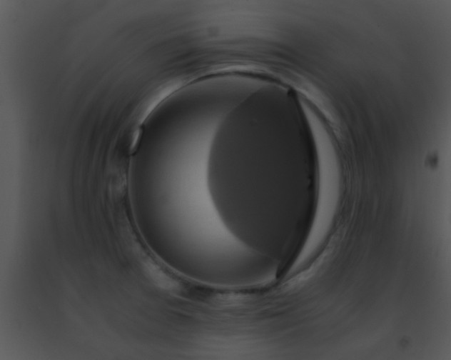 X0000091501377200708301948