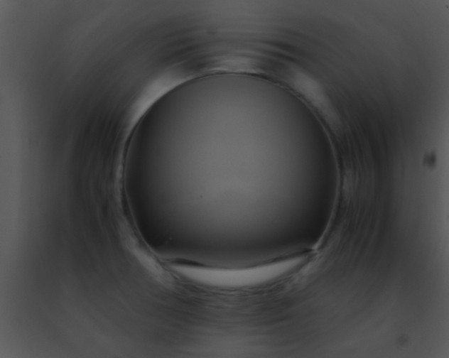 X0000091501378200708301948