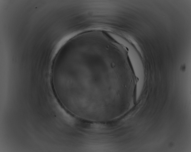 X0000091501379200708301948