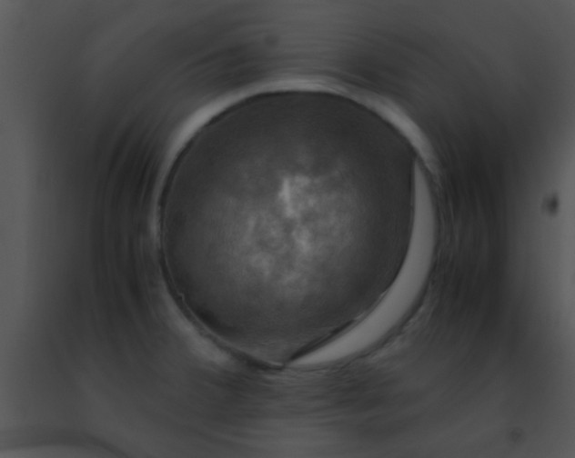 X0000091501380200708301948