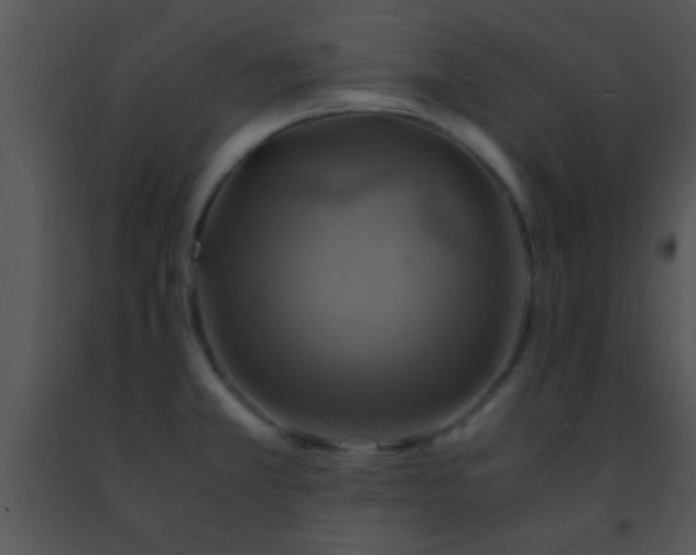 X0000091501381200708301948