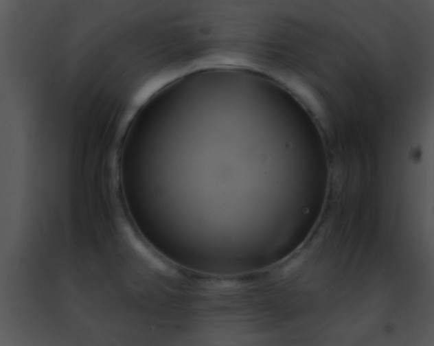 X0000091501382200708301948