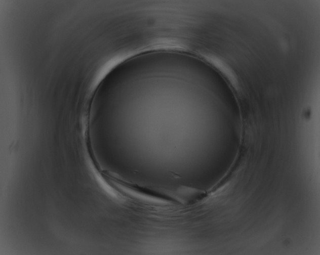 X0000091501383200708301948