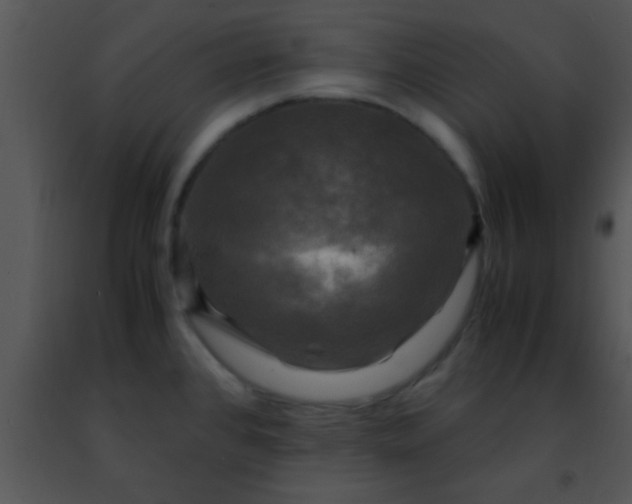 X0000091501384200708301948