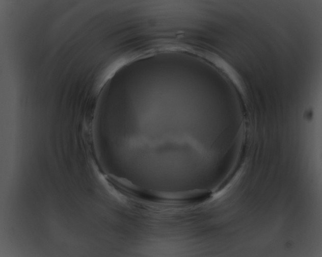 X0000091501385200708301948