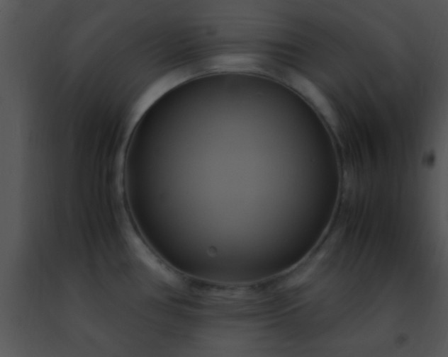 X0000091501386200708301948