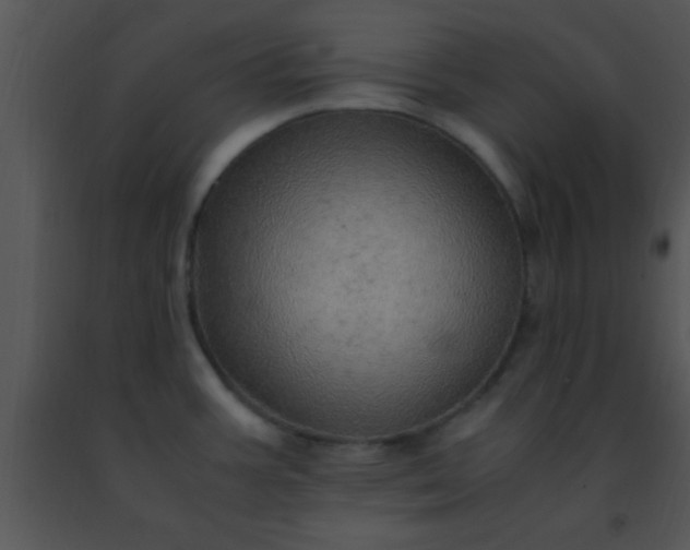 X0000091501387200708301948