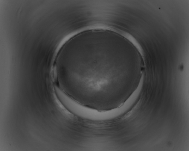 X0000091501388200708301948