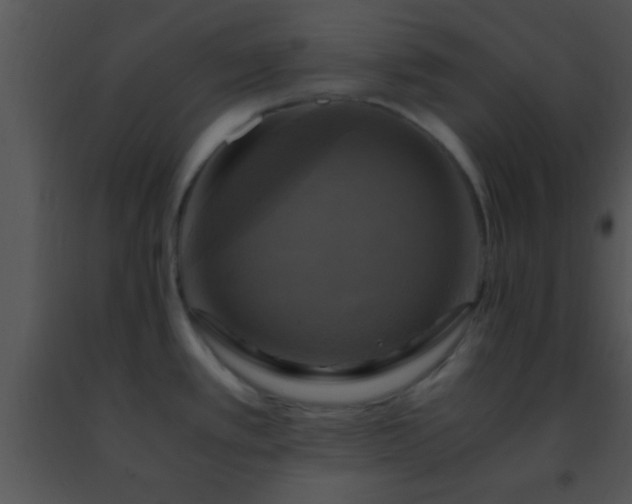 X0000091501389200708301948