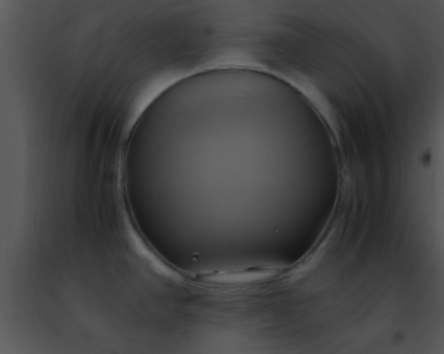 X0000091501390200708301948