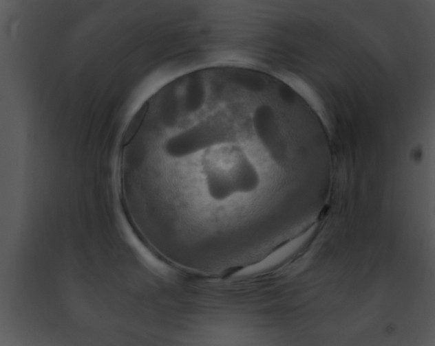 X0000091501391200708301948