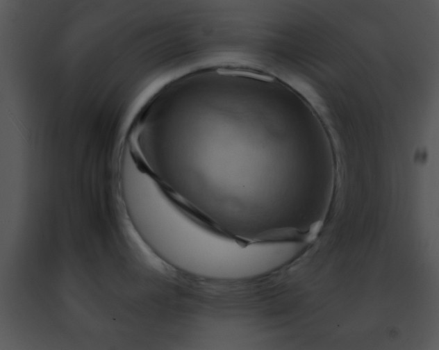 X0000091501392200708301948