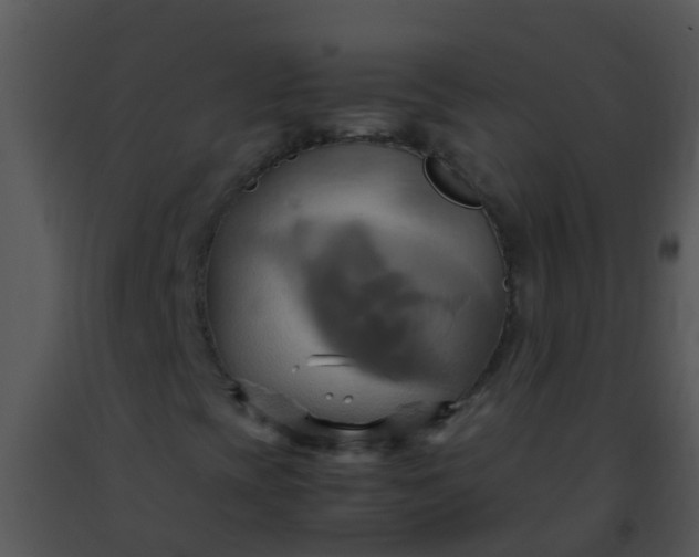 X0000091501393200708301947