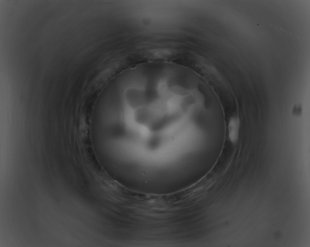 X0000091501395200708301947