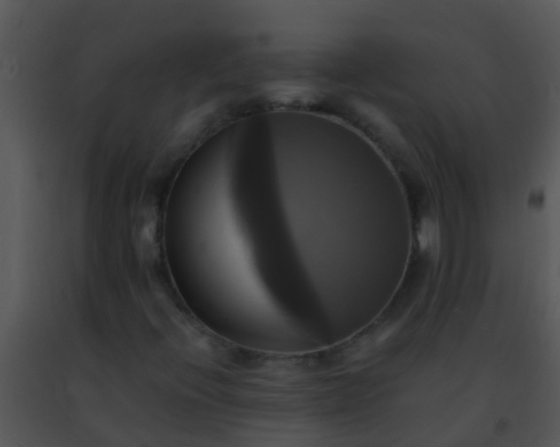 X0000091501396200708301947