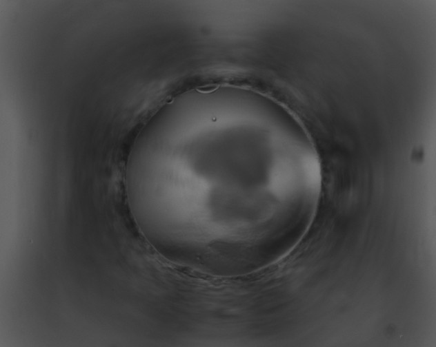 X0000091501397200708301947