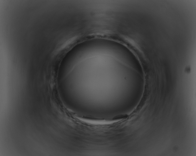 X0000091501399200708301947