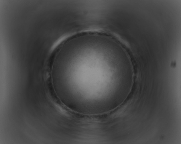 X0000091501400200708301947