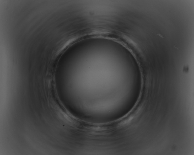 X0000091501401200708301947