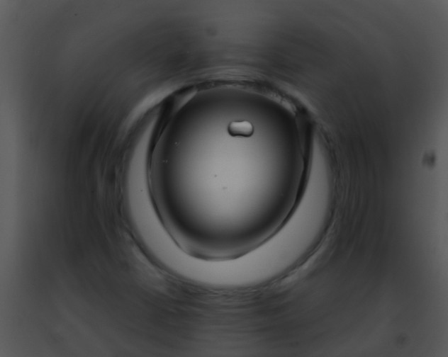 X0000091501402200708301947