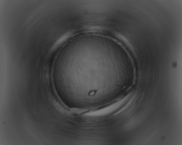 X0000091501403200708301947