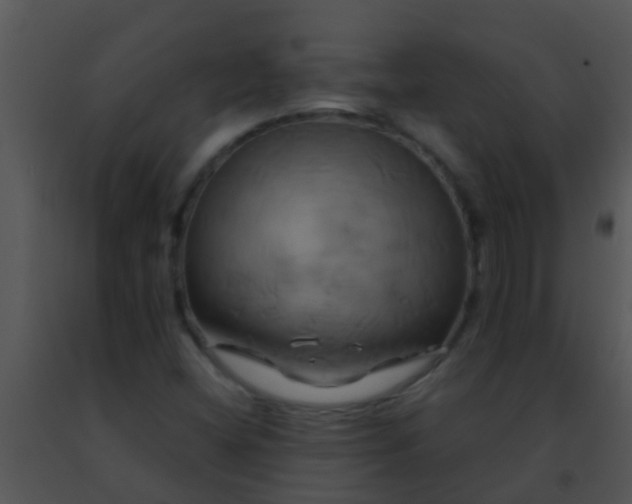 X0000091501404200708301947