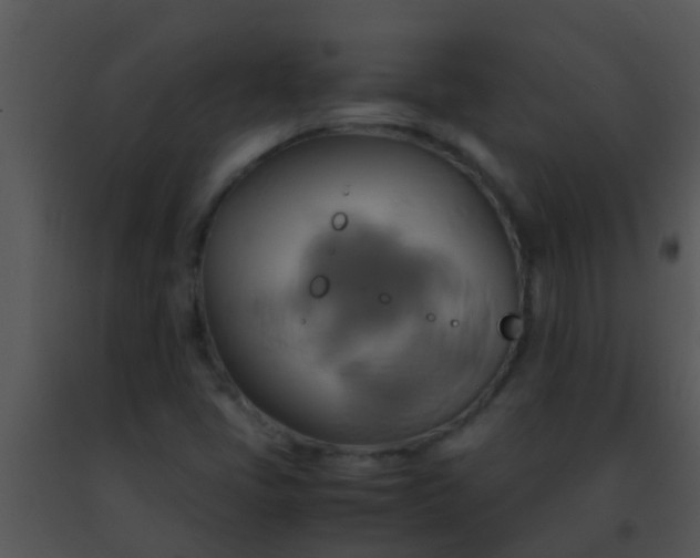 X0000091501405200708301947