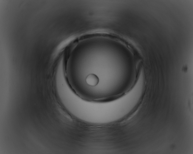 X0000091501406200708301947