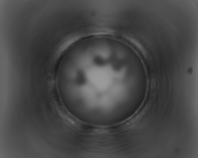 X0000091501407200708301947