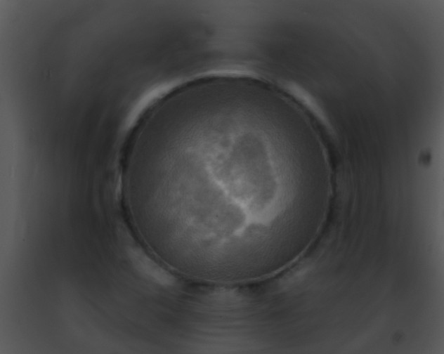 X0000091501408200708301947