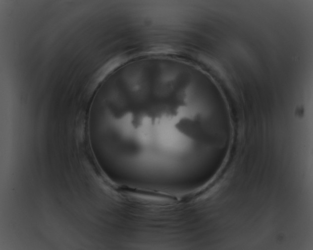 X0000091501409200708301948