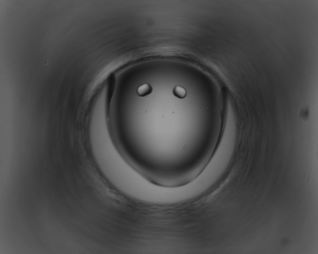 X0000091501410200708301948