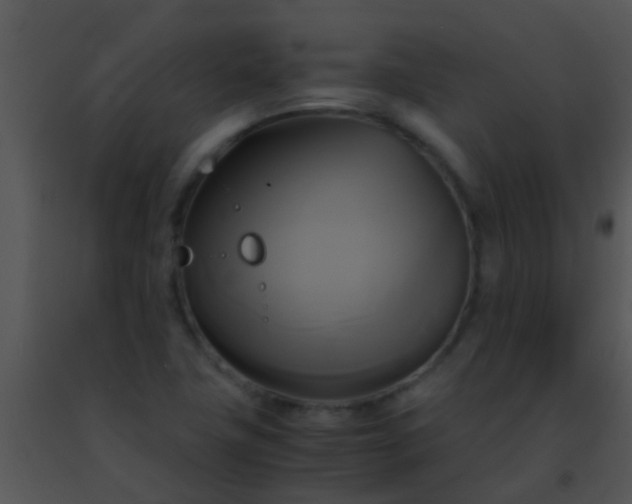 X0000091501411200708301948