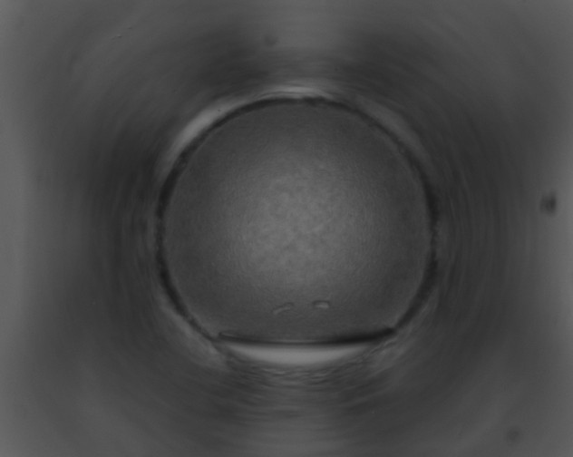 X0000091501412200708301948