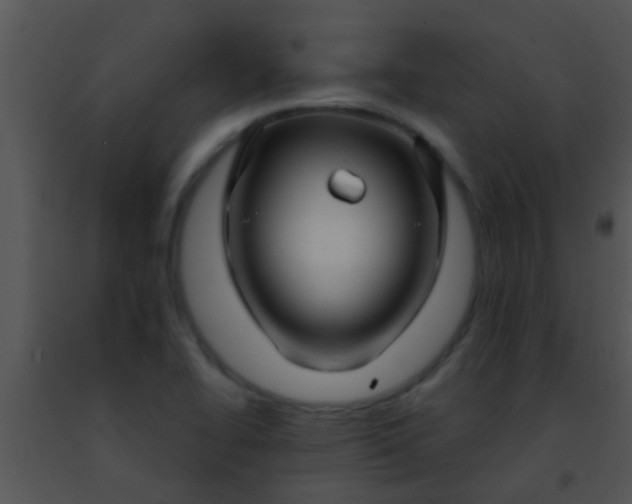 X0000091501414200708301948