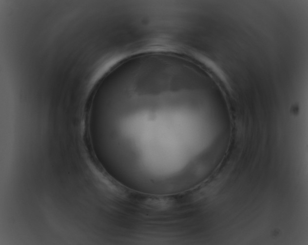 X0000091501415200708301948