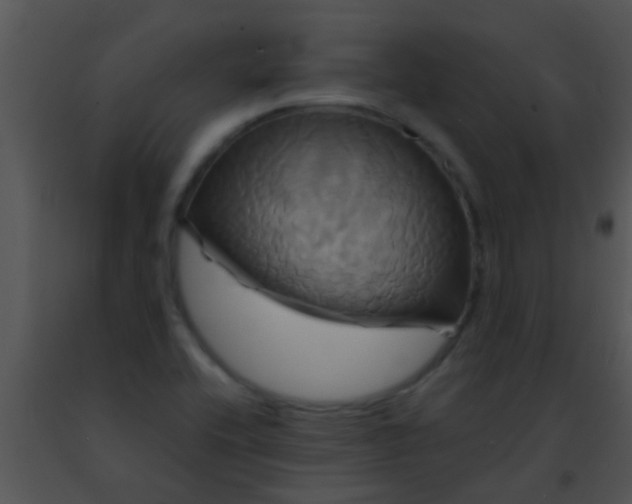 X0000091501416200708301948