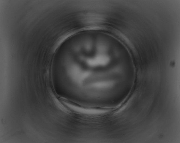 X0000091501417200708301948