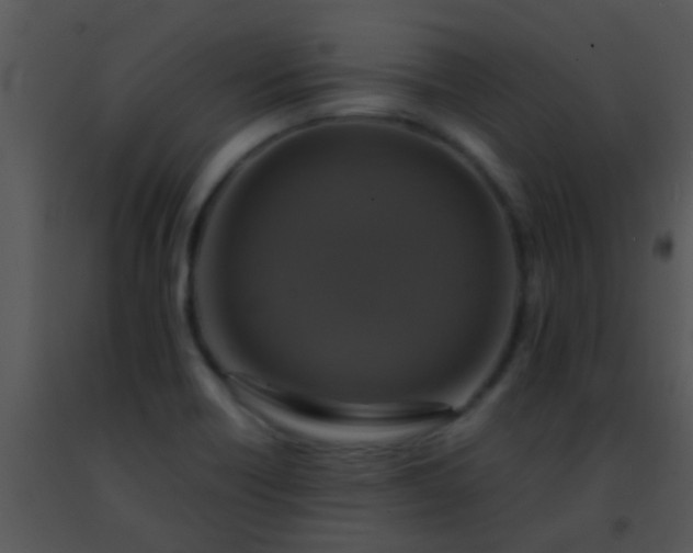 X0000091501418200708301948