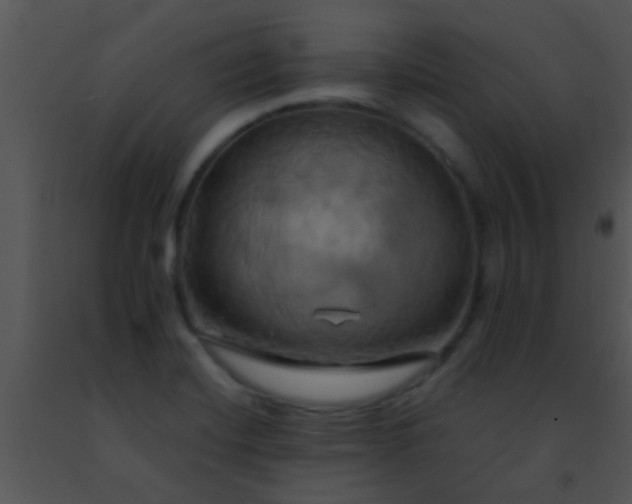 X0000091501420200708301948