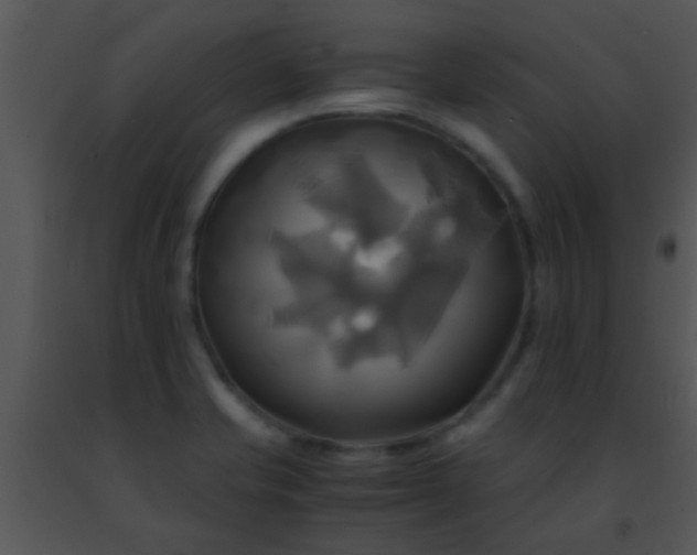 X0000091501421200708301948