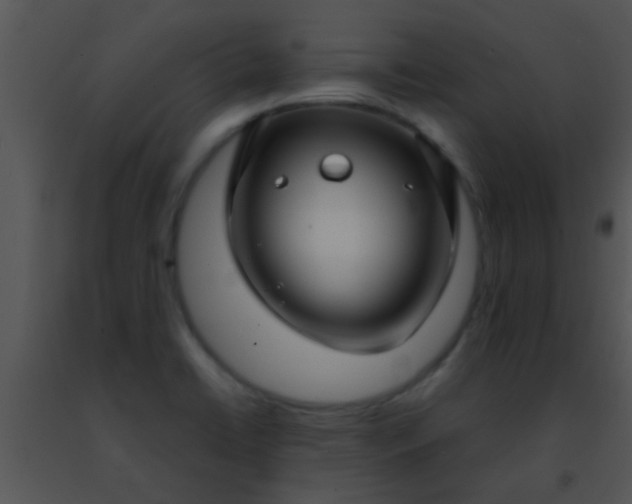 X0000091501422200708301948