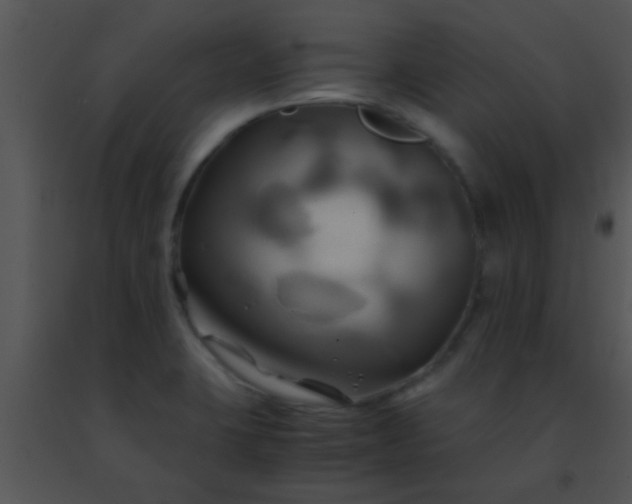 X0000091501423200708301948