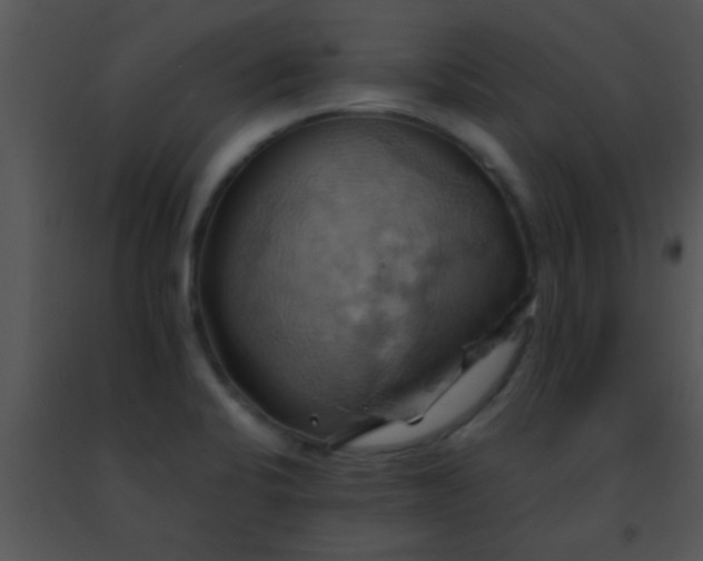 X0000091501424200708301948