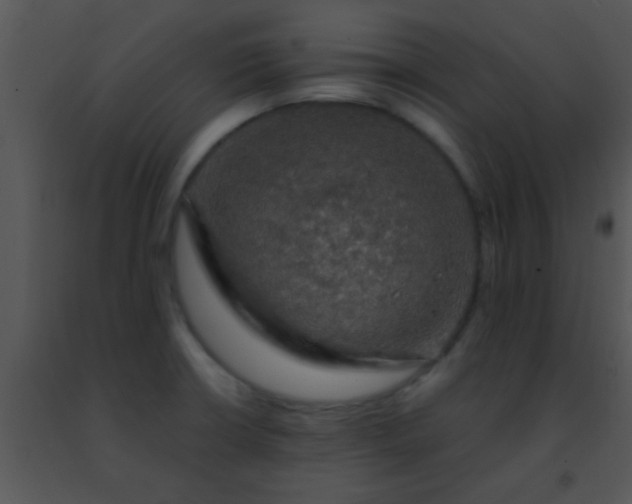 X0000091501426200708301948