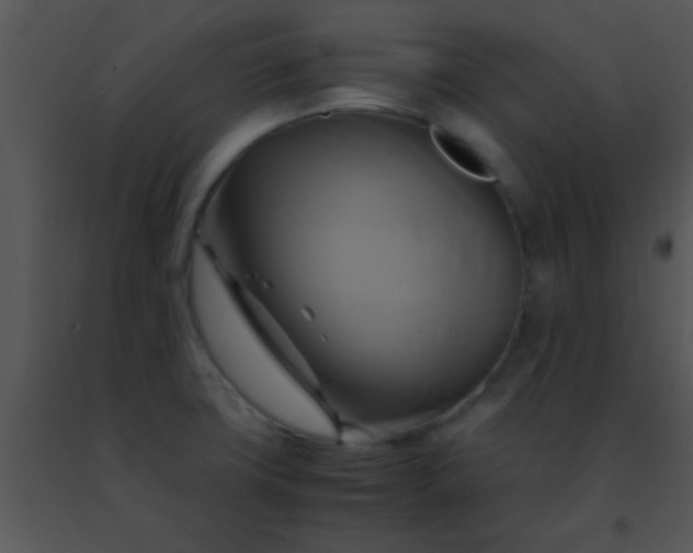 X0000091501427200708301948